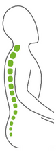 MEET  TENDENCE - our best selling ergonomic chair ..... from 299.00 plus vat