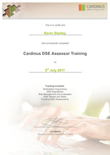 Cardinus Certified DSE Assessment