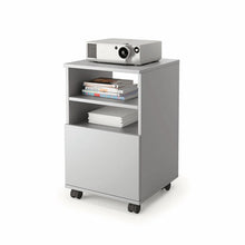 Multi-function cabinet with shelves and door