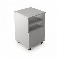 Multi-function cabinet with shelves and door
