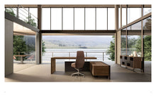 Executive Ranges