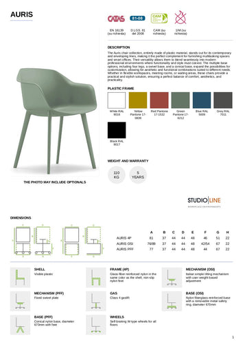 AURIS Community / Meeting Chair