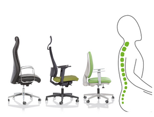 Circular Ergonomic Collection - 14 Lines - start collecting today !