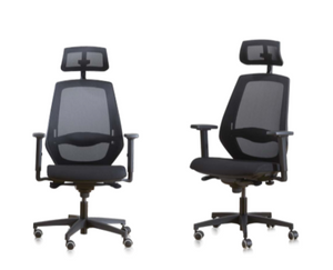 EXXATA SY80 MESH Mid-Range Ergonomic Chair + 2D ARMS