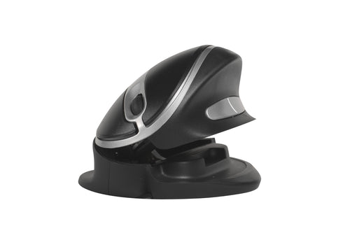 Ergonomic -Oyster Mouse Wireless. L&R
