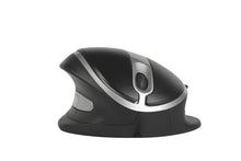 Ergonomic -Oyster Mouse Wireless. L&R